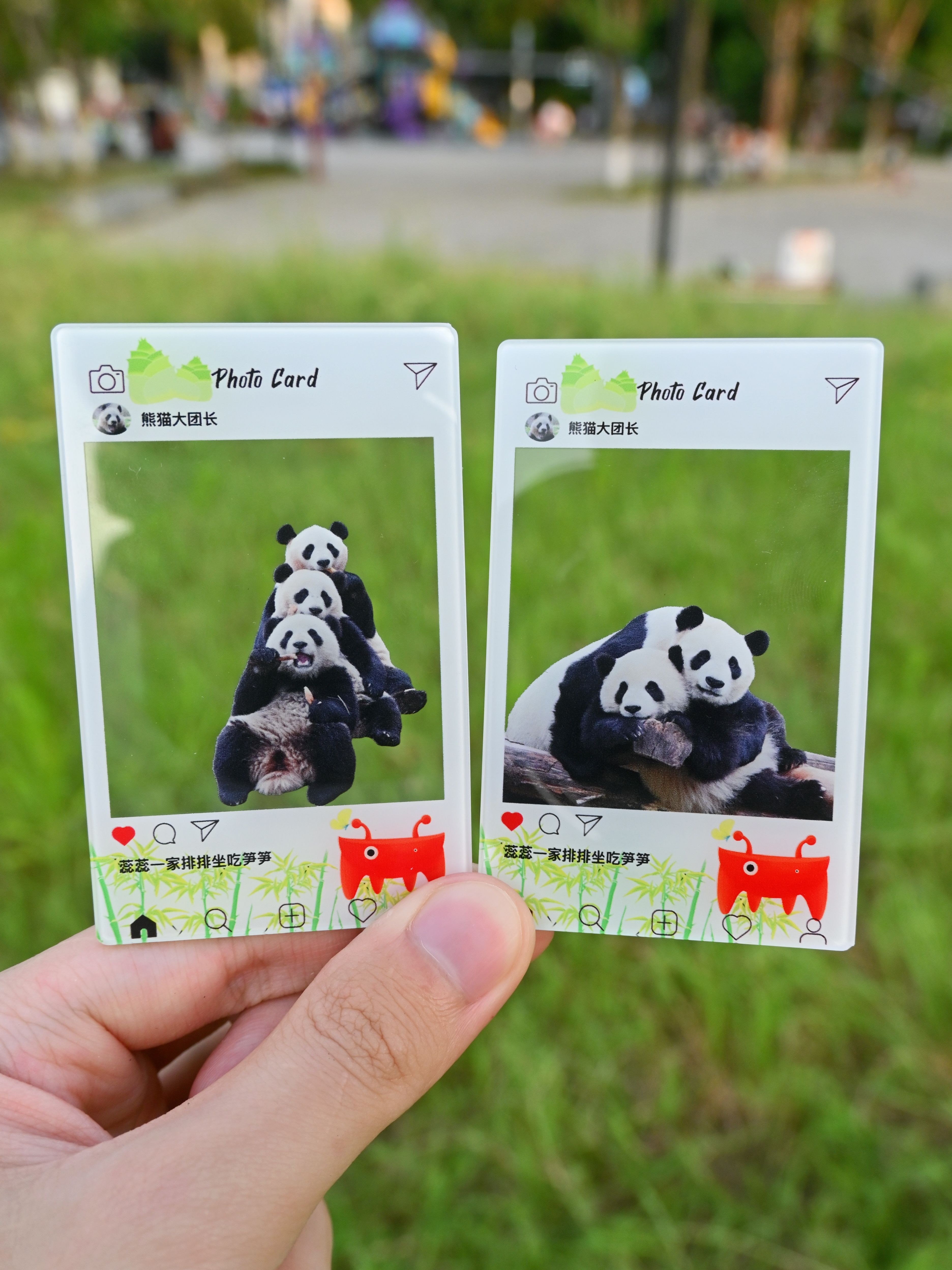 可爱熊猫蕊蕊一家透卡