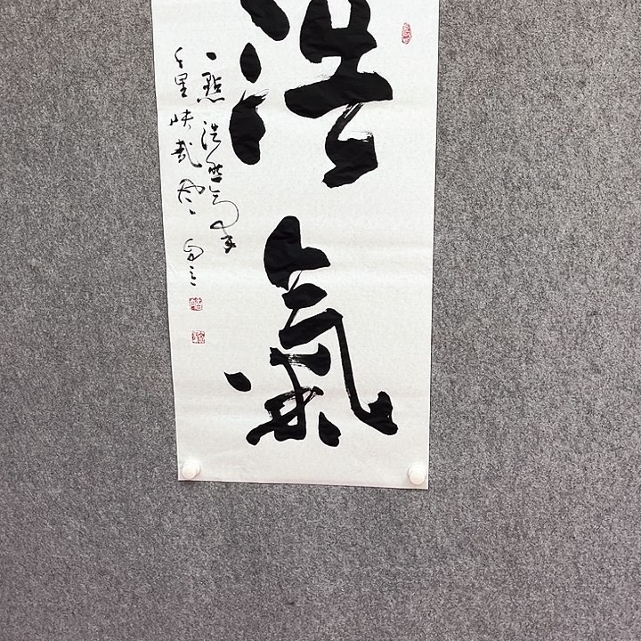 书法浩气书法作品