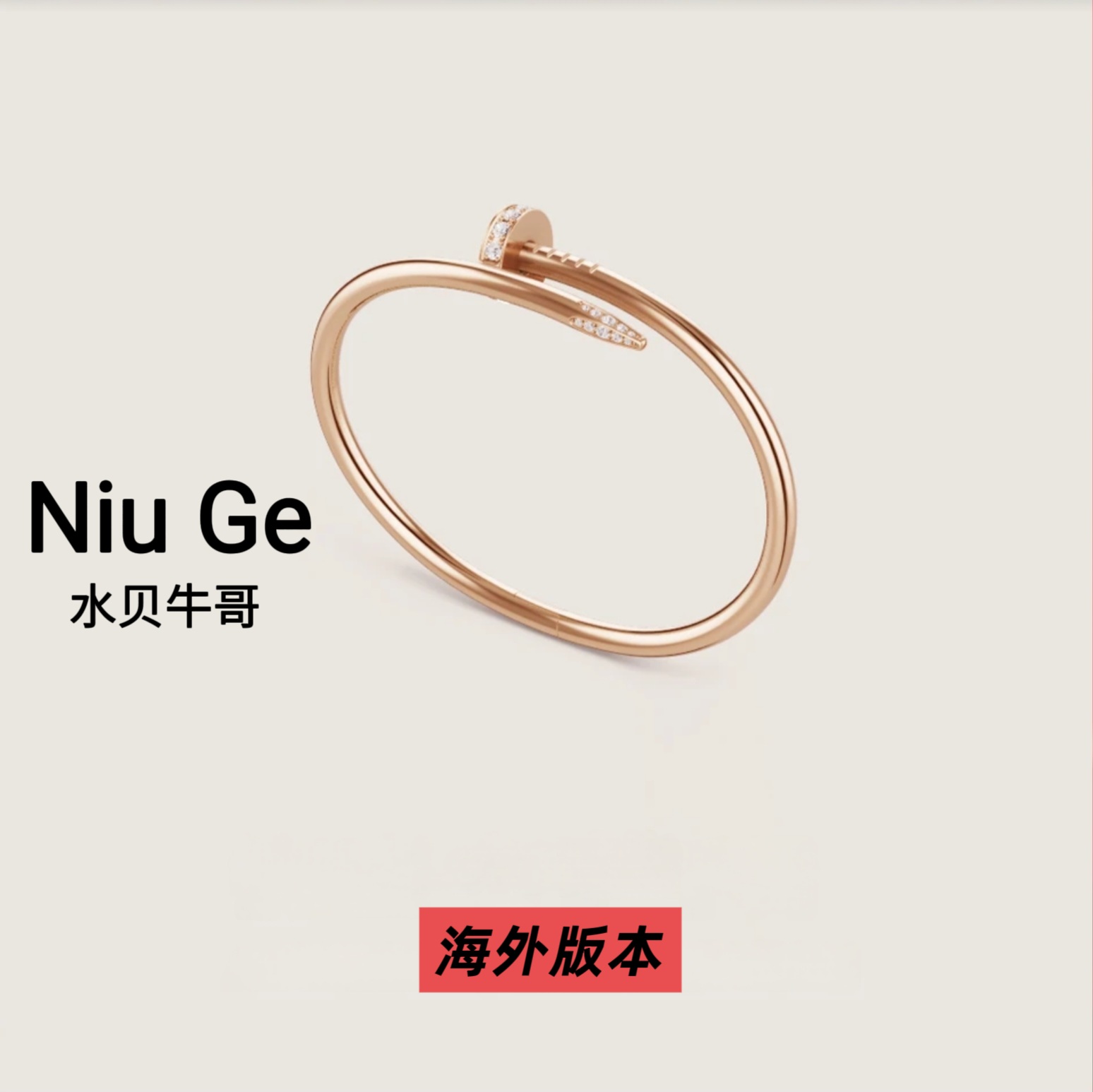 S圆头镶嵌经典钉子【丝巾】1