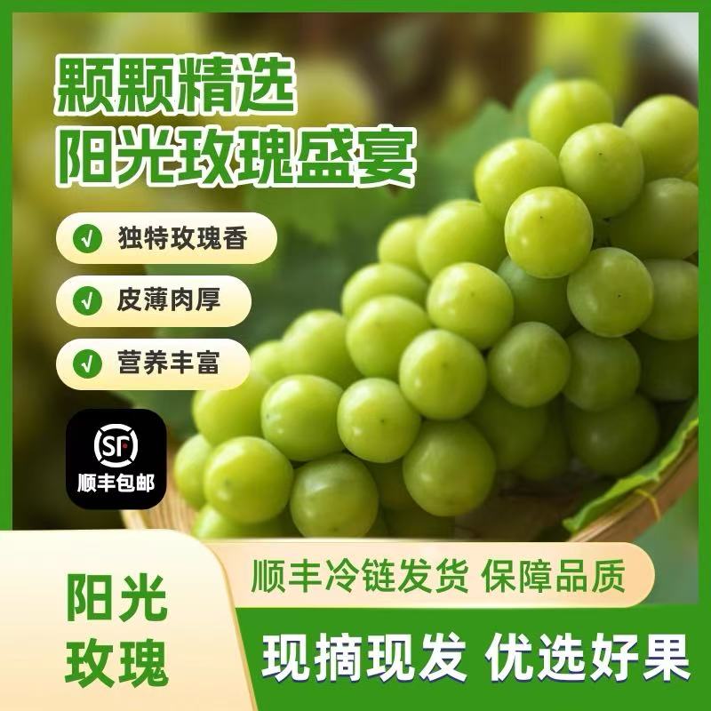 【顺丰次日达】阳光玫瑰新鲜葡萄晴王青提彩箱发当季水晶葡萄新鲜提子江苏省