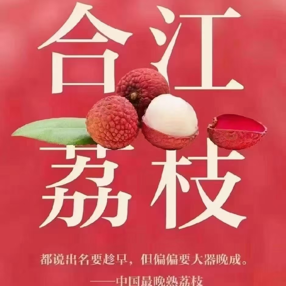 （川渝）合江妃子笑肉厚多汁现摘顺丰包邮