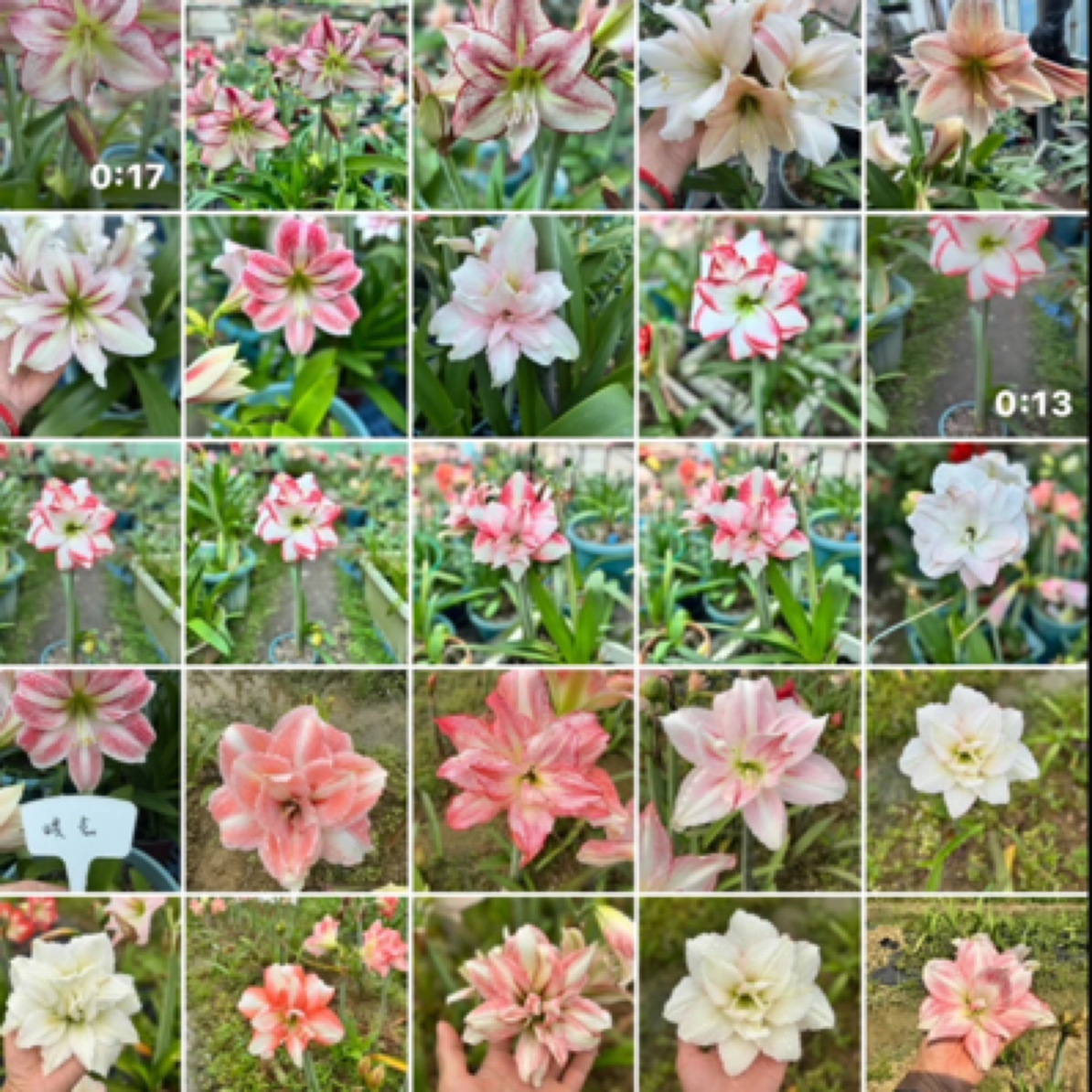 一物一拍链接，包对版不包后期养护