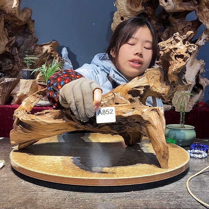佛**帝852株木随行的小根艺
