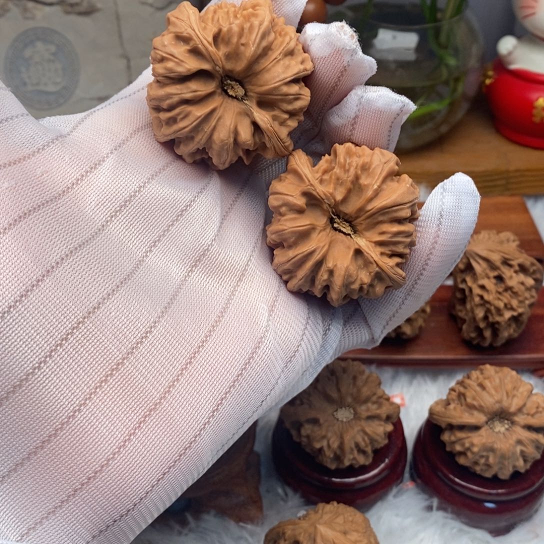 文玩核桃吊坠43尺寸平谷凹底