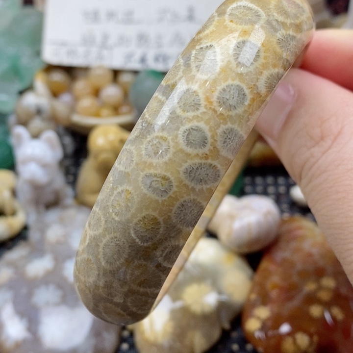 硅化珊瑚（珊瑚玉）颈饰未镶嵌59