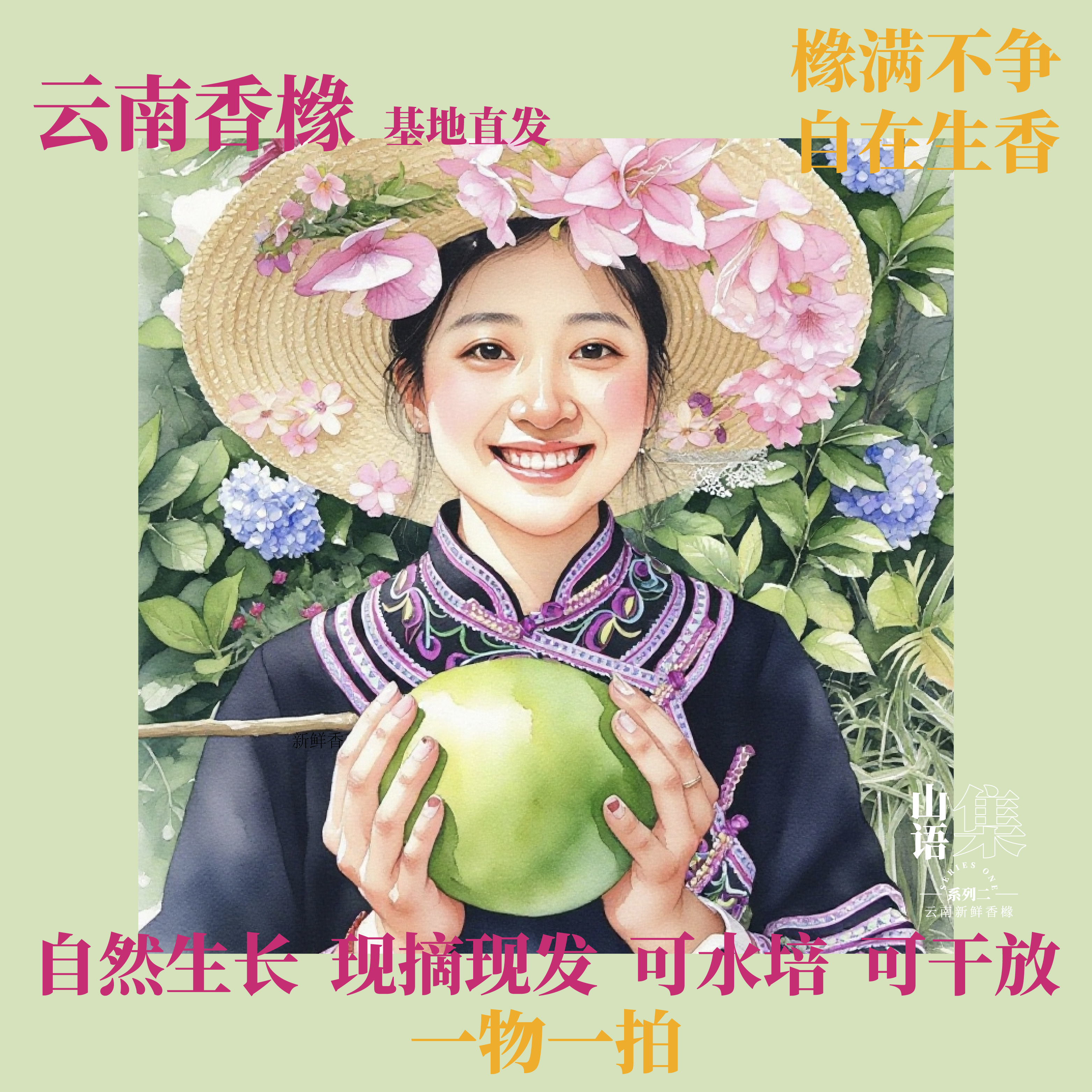 【山语集-系列二】云南新鲜香橼 一物一拍
