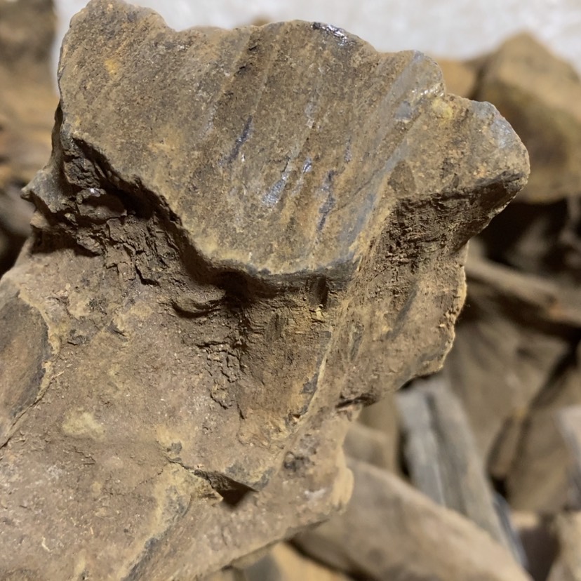 【闪购商品】贡木其他飞**克定制1232556998009