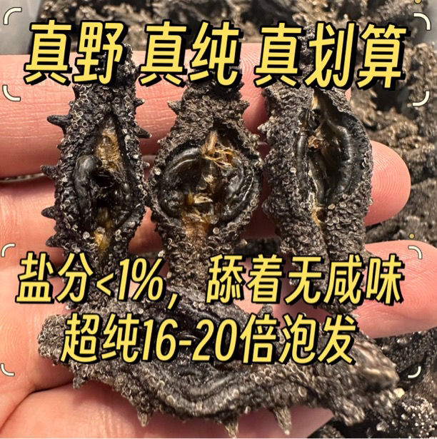 【特级-纯-野】纯淡干海参 软糯香甜 营养价值高