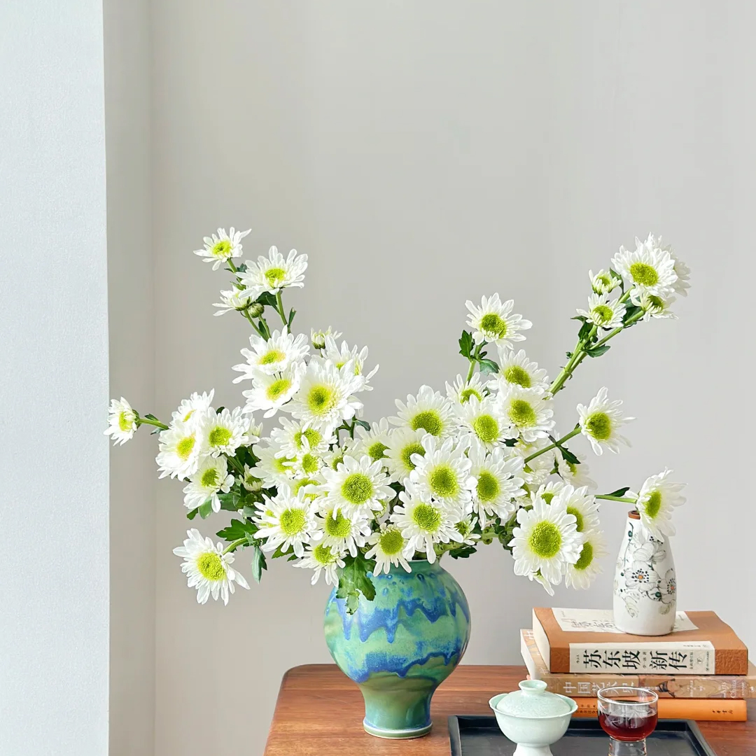 【瑞白小雏菊】鲜花花束云南昆明基地直发家用水养花鲜花束