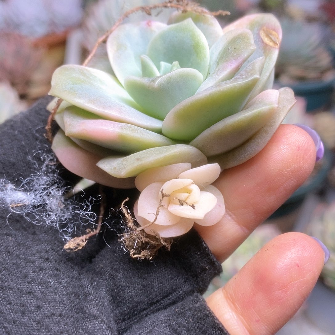 128哈哈哈哈哈哈哈哈哈