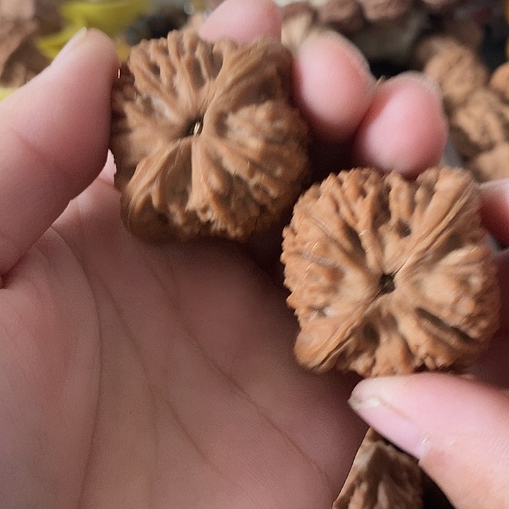 一***策吊坠文玩核桃老树南疆石狮子头