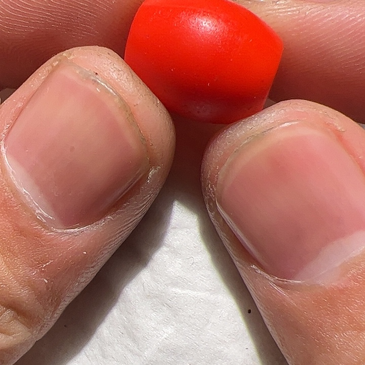 香榧木你的时候你是