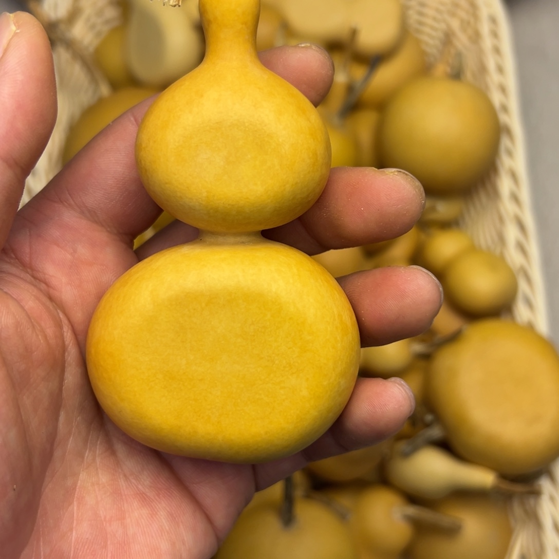 12 葫芦无客服售后介意勿拍