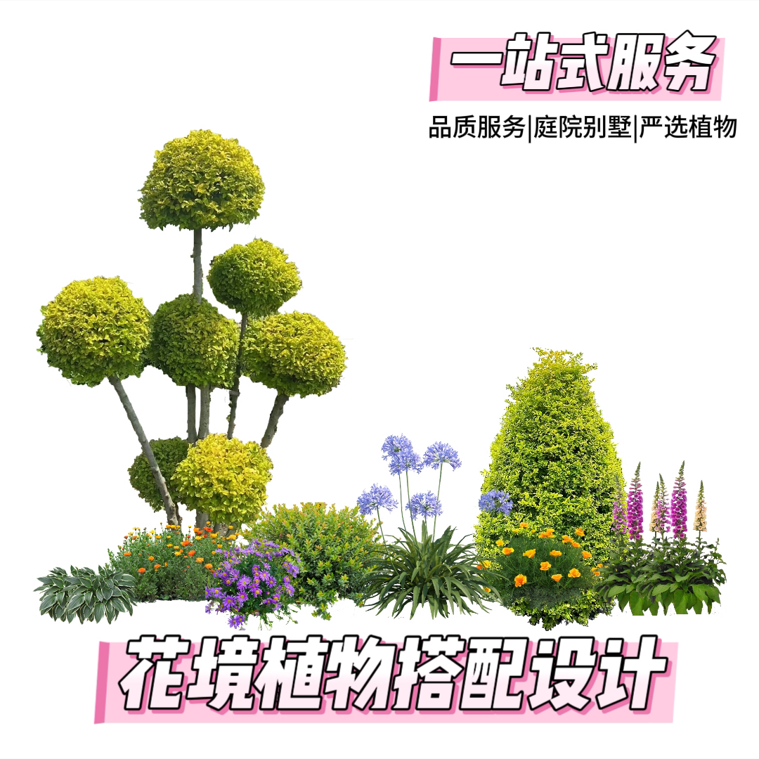 直播间花园花境植物搭配设计一物一拍免费搭配