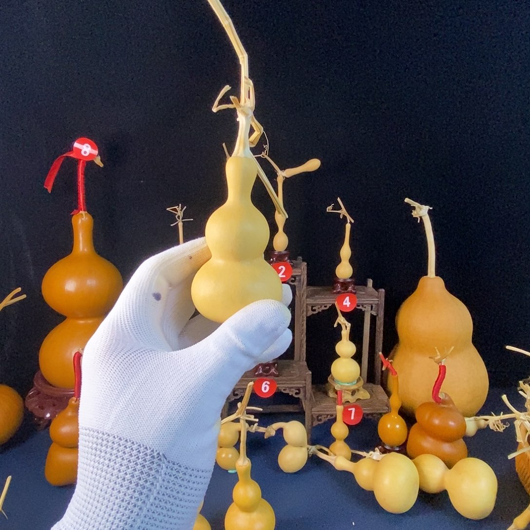 众***】大叶紫檀（黑酸枝木类）