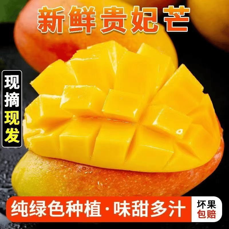 广西百色贵妃芒新鲜香甜多汁自然熟红金龙芒果现摘应季果P