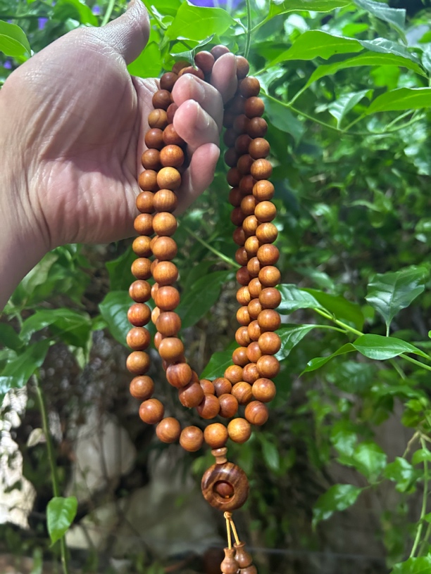 【土特产菇507】净含量60g