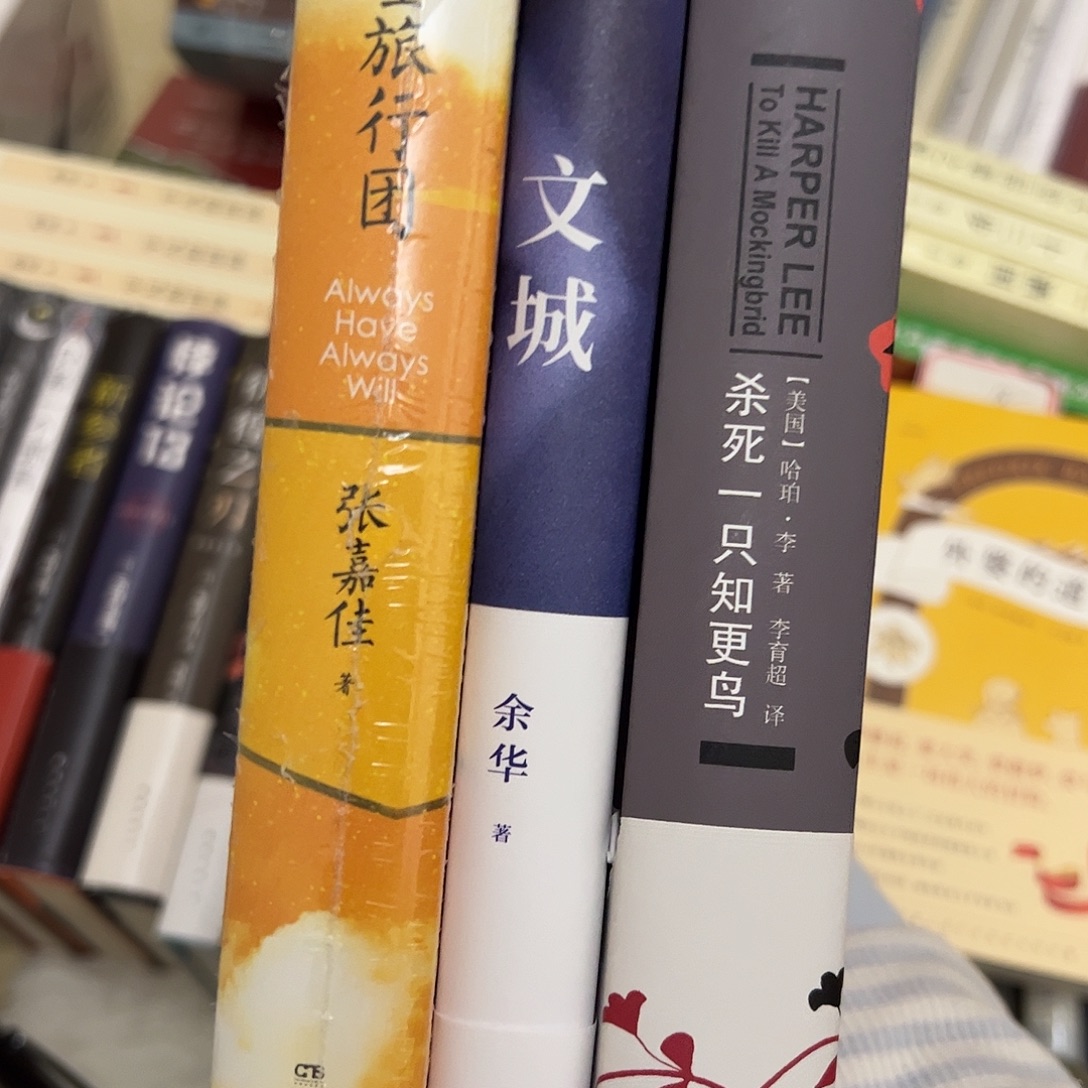 杀死一只知更鸟＋文城＋天堂旅行团  