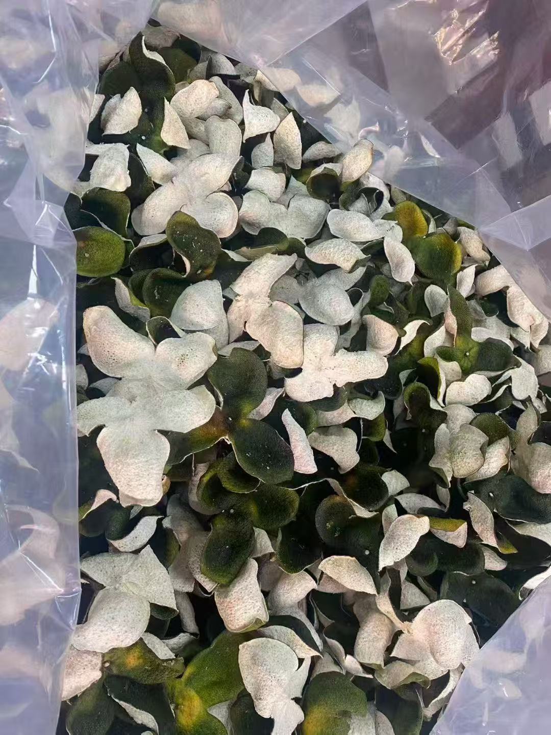 【老树大青皮】2025年新会陈皮 原枝大青皮