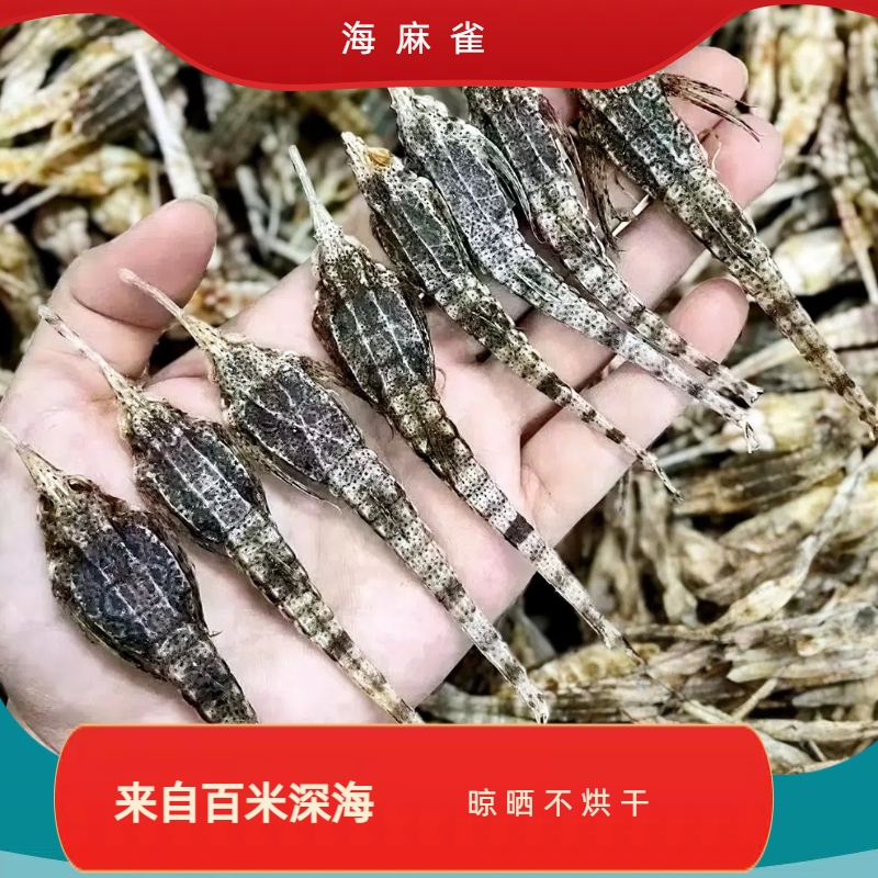 【海中雀】8只装 干 包邮海产品干 8xz