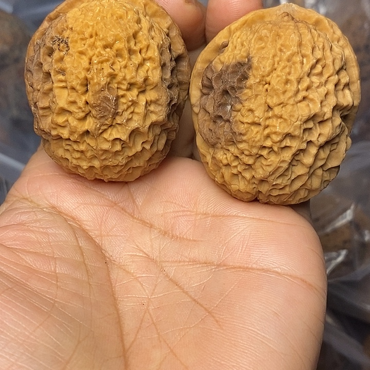 把件文玩核桃云南铁核桃41