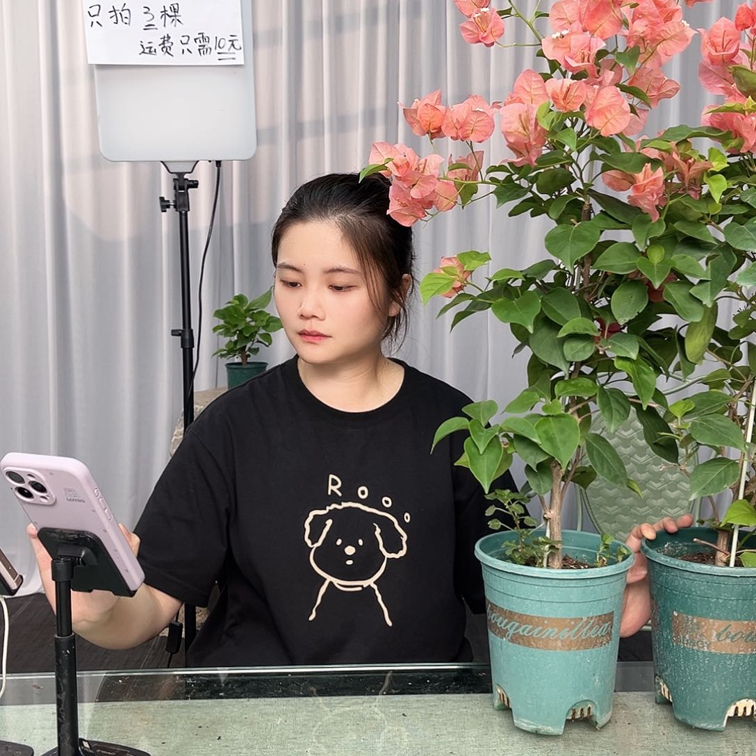 大部分开放少量花苞不甜西瓜带竹一颗，专用肥一斤