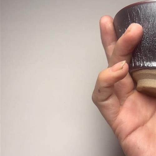 【闪购商品】茶盏-79.............