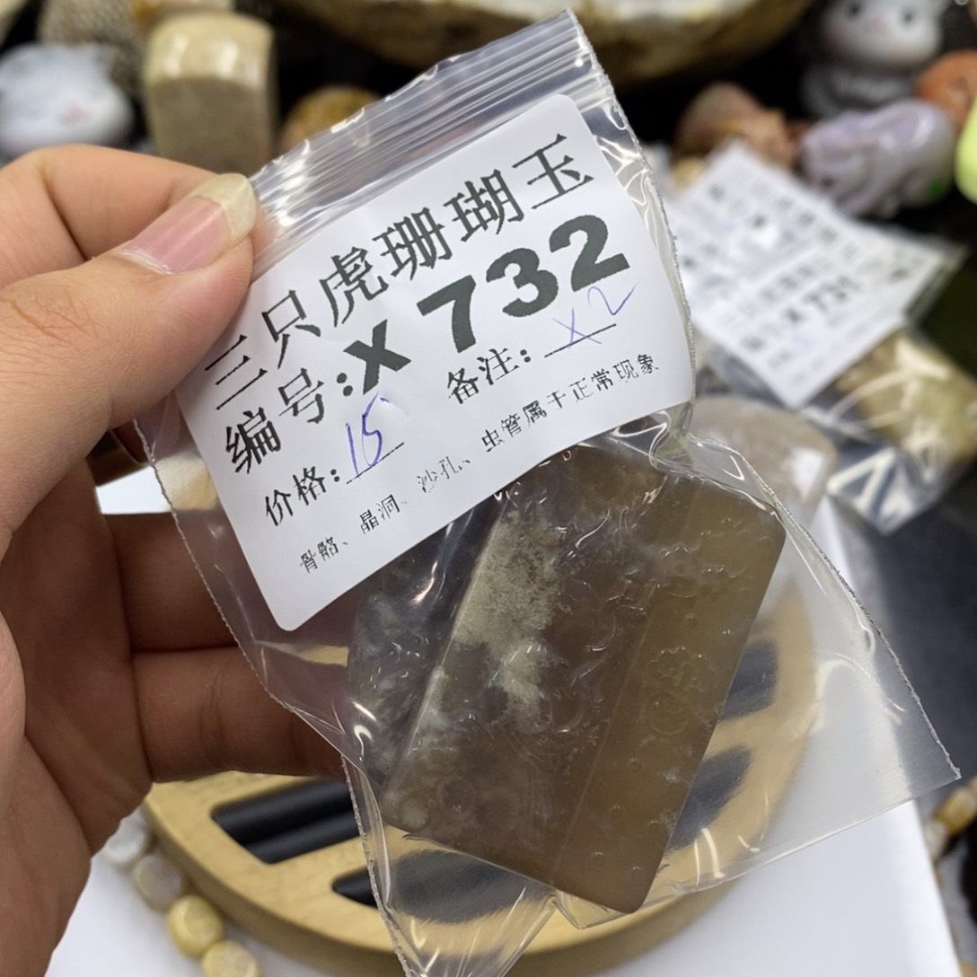 硅化珊瑚（珊瑚玉）1未镶嵌鱼