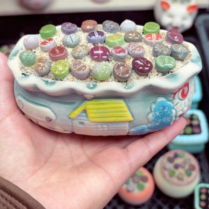 525满18包邮零下地区记得拍保温箱