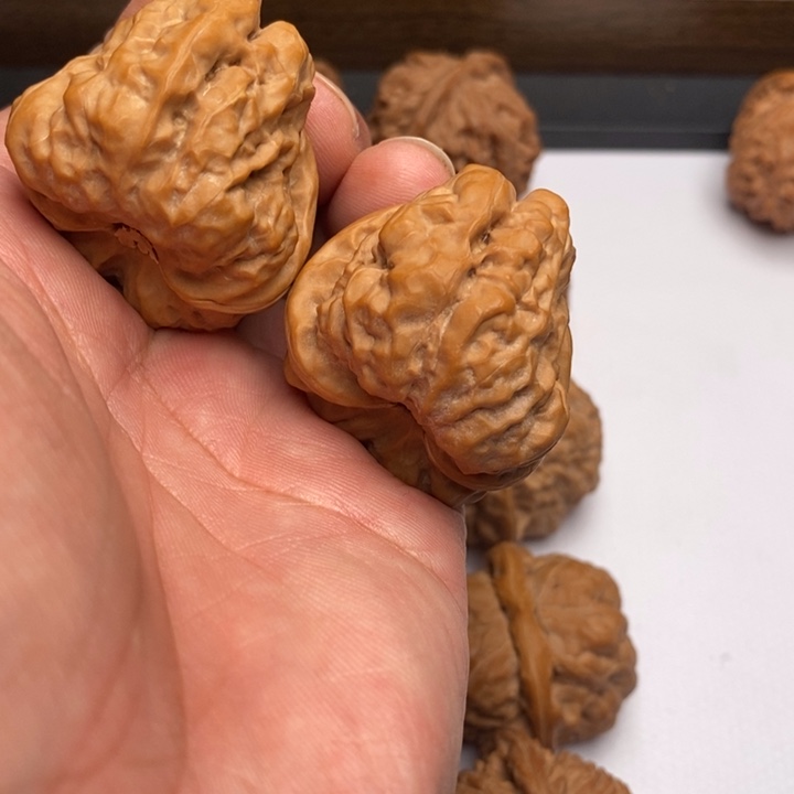 核桃手串/手链蛤蟆头狮子头37尺有修