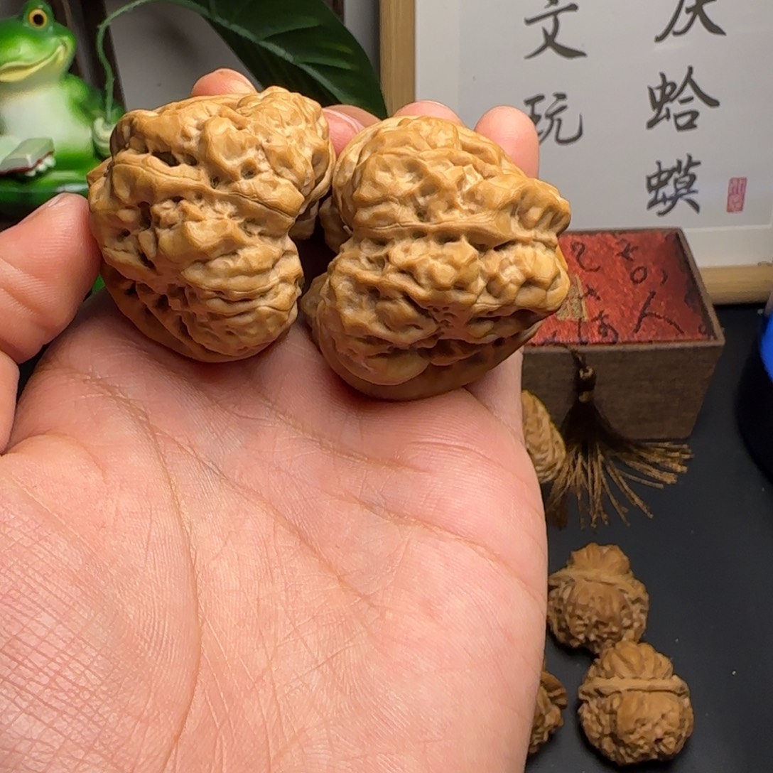 看***情蛤蟆头45✖️48红皮