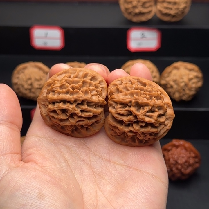 答***，核桃一物一拍全家福