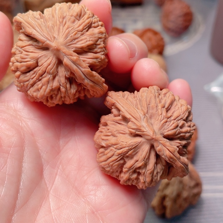 40尺寸四座楼狮子头