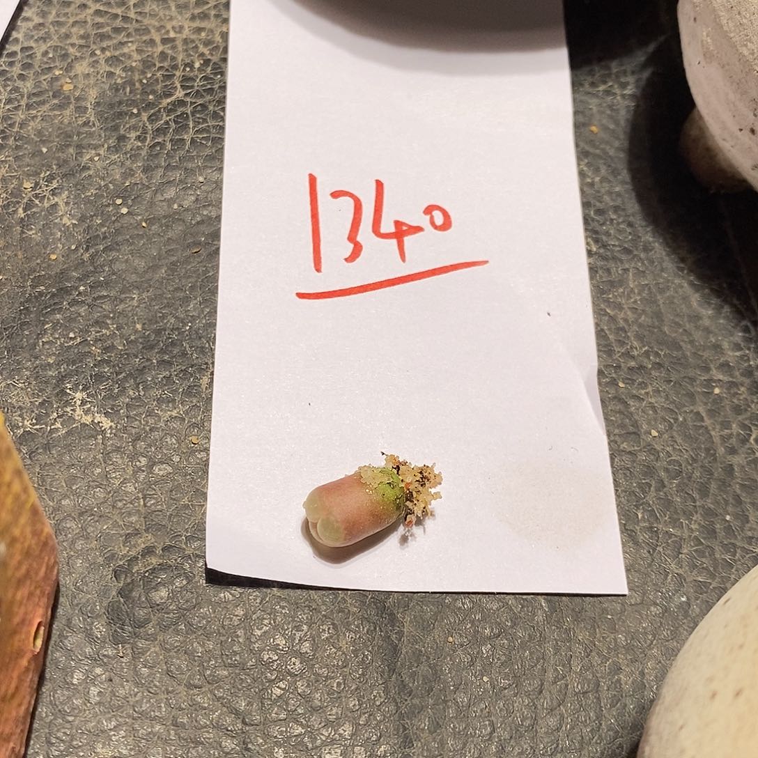 用***41340。 一颗。       