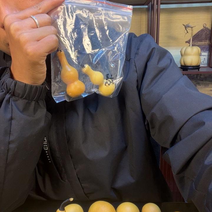 葫芦葫芦葫芦葫芦葫芦