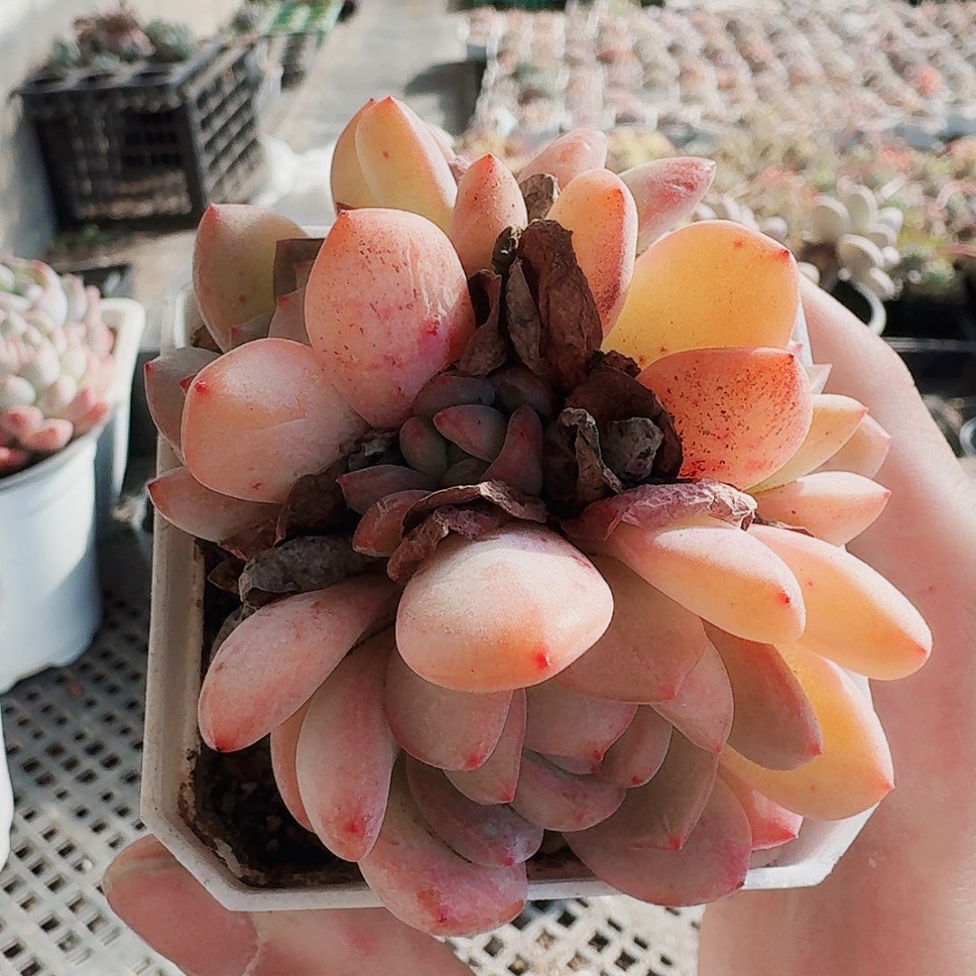 满20包邮零下拍保温箱
