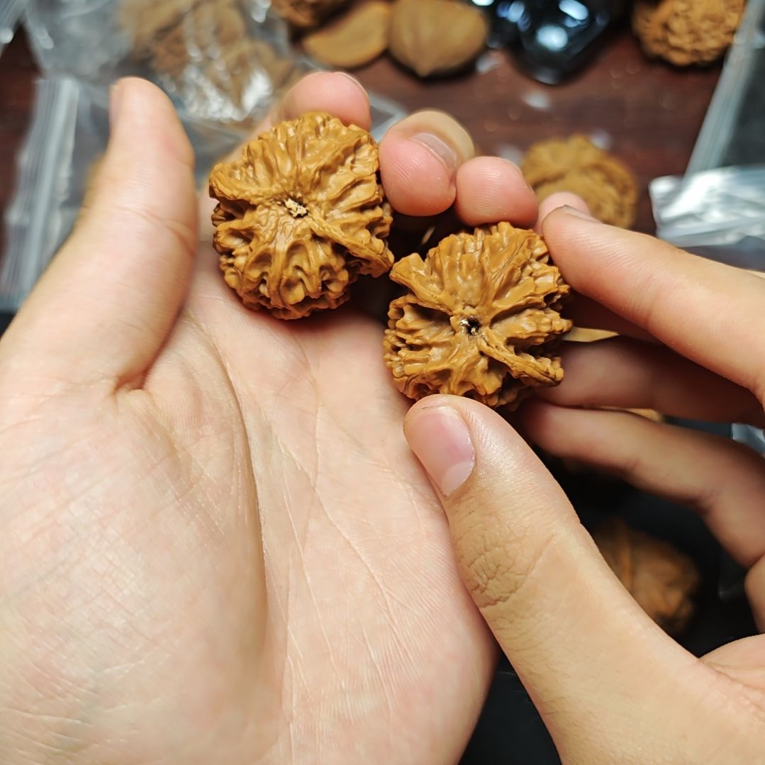 苹果苹果苹果苹果