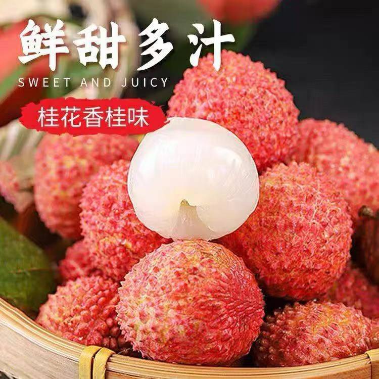 【顺丰冷链包邮】深圳南山老树桂味荔枝新鲜果园现摘水果