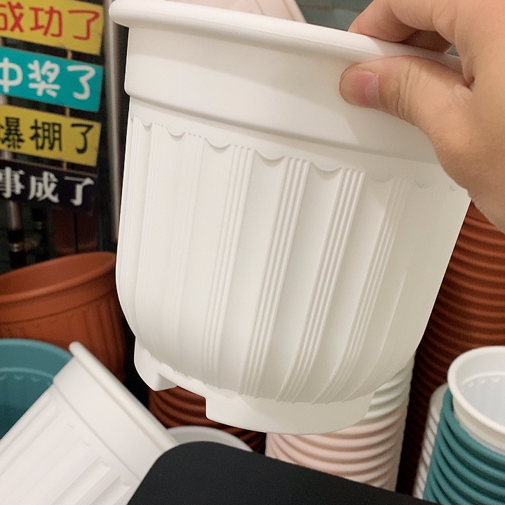 罗马口21高18白4个无托