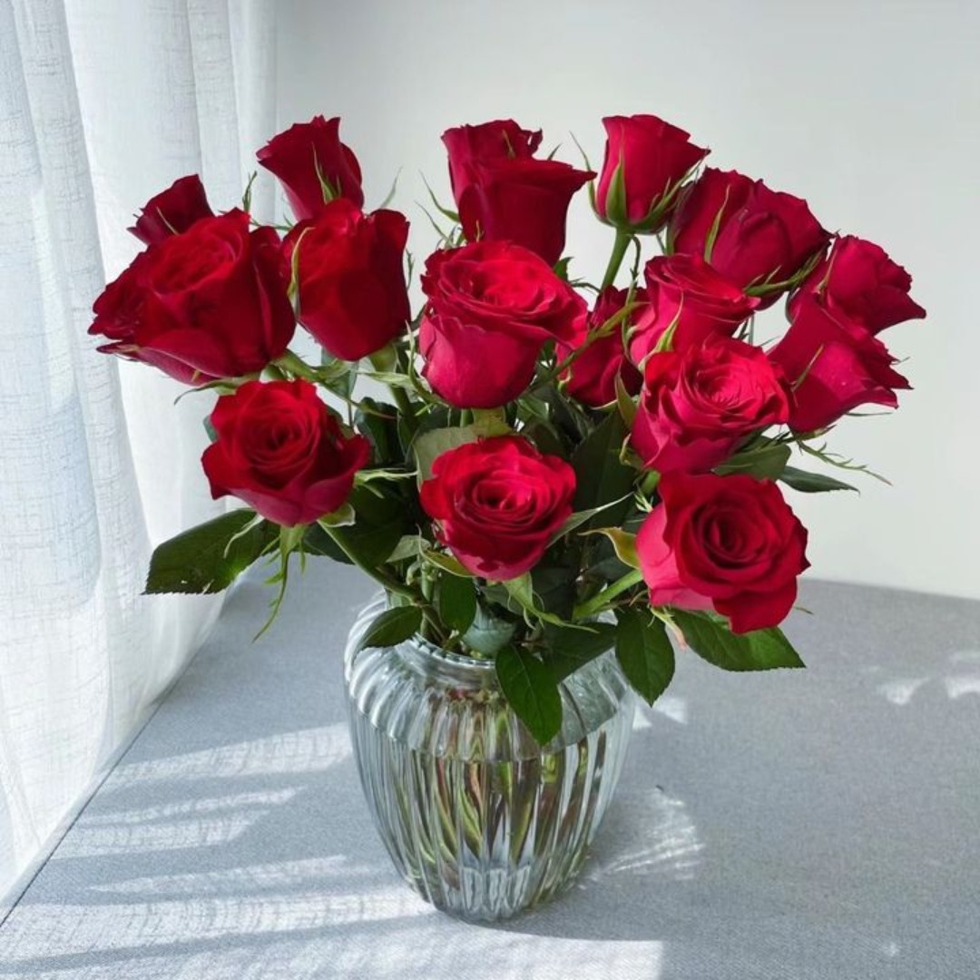 红玫瑰（花苞）10枝-家居花生活鲜花单枝散花日常插花花店送花上门