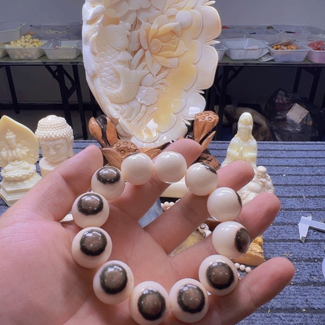 品***院大果紫檀（缅甸花梨）12