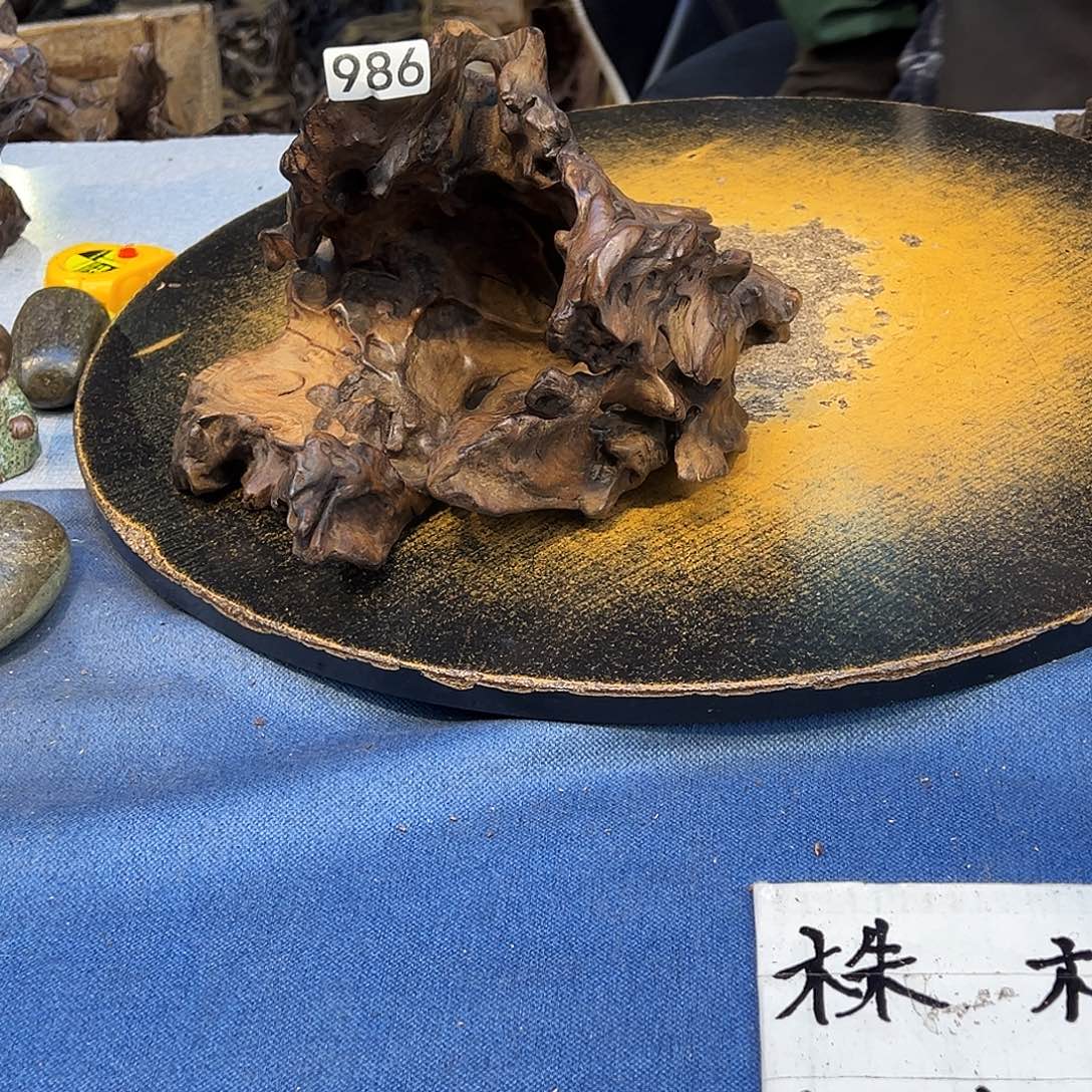 小***艺香榧木986gggggggggvg