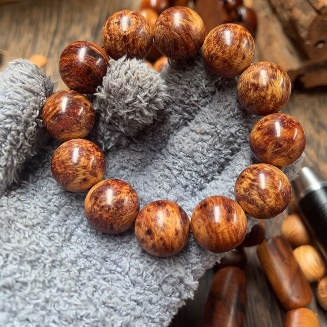 踏**来太行崖柏陈化太行