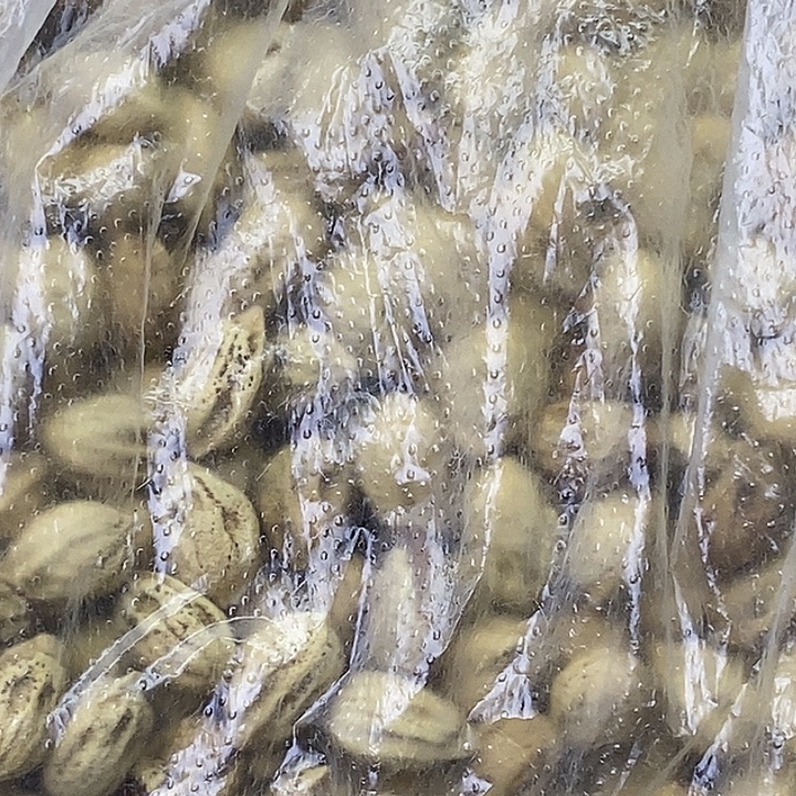 浪***川柏香籽/百香籽吊坠