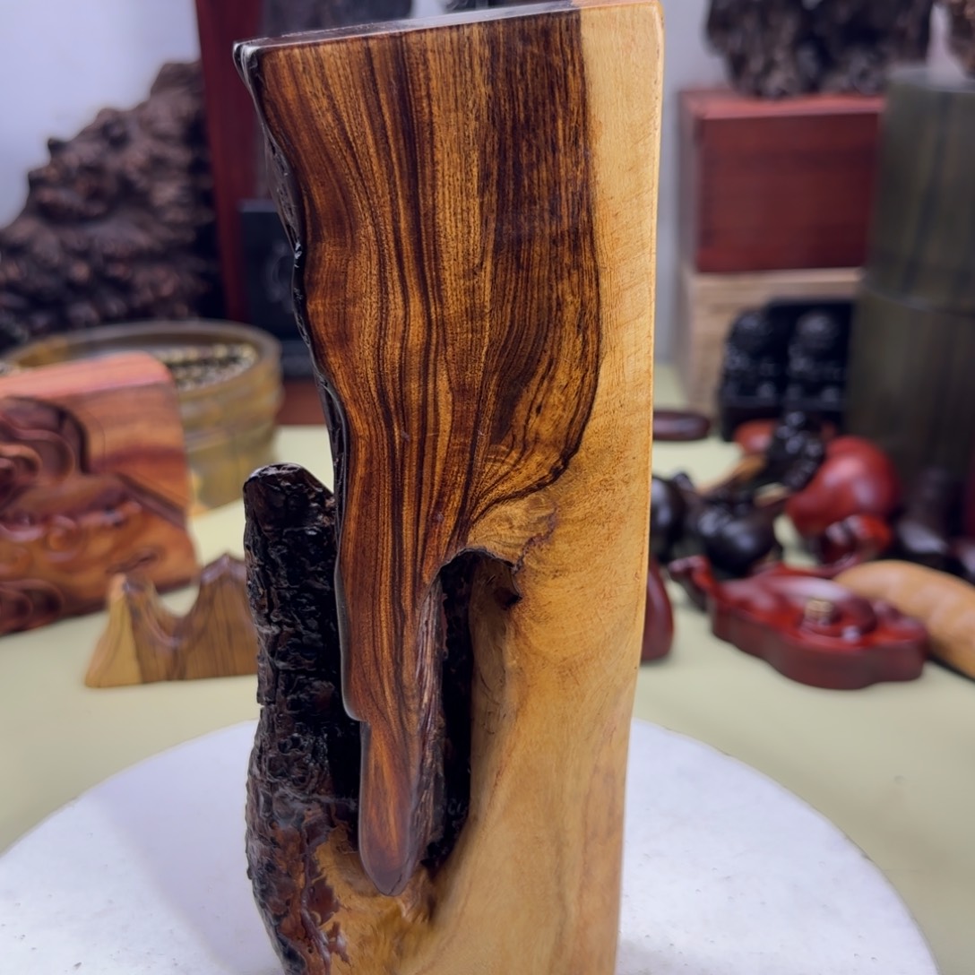 大果紫檀（缅甸花梨）图*画