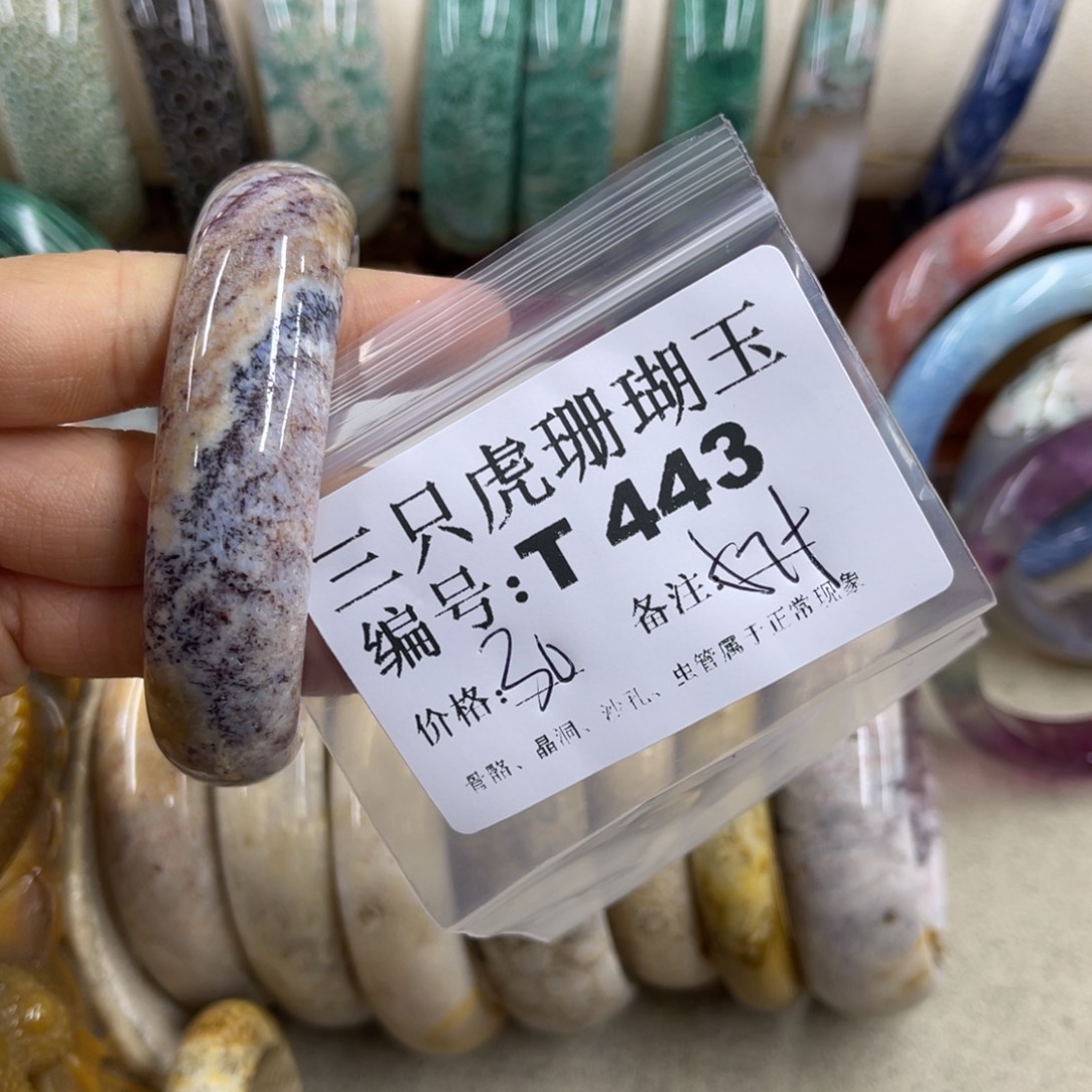 幸***️硅化珊瑚（珊瑚玉）未镶嵌h