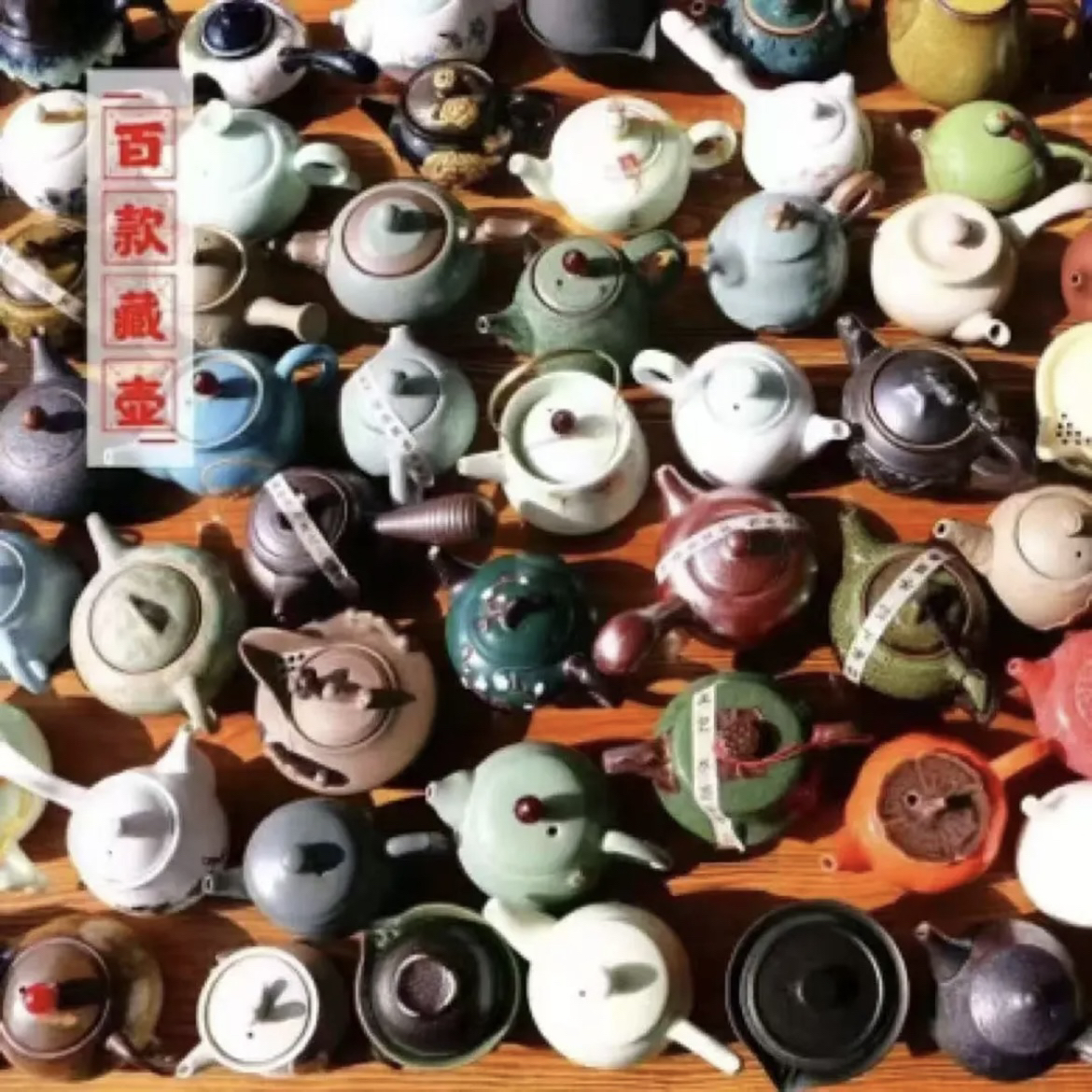 瑕疵壶随机一个（种花种草种多肉）