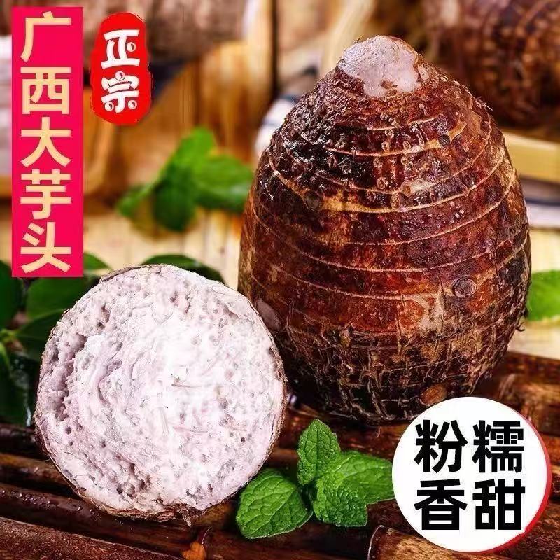 广西荔浦正宗新鲜大芋头粉糯香甜现挖带皮香芋芋头农产品特产