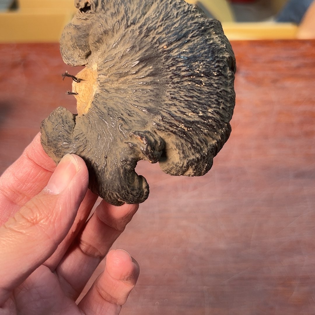 木中古艺术工艺美术品