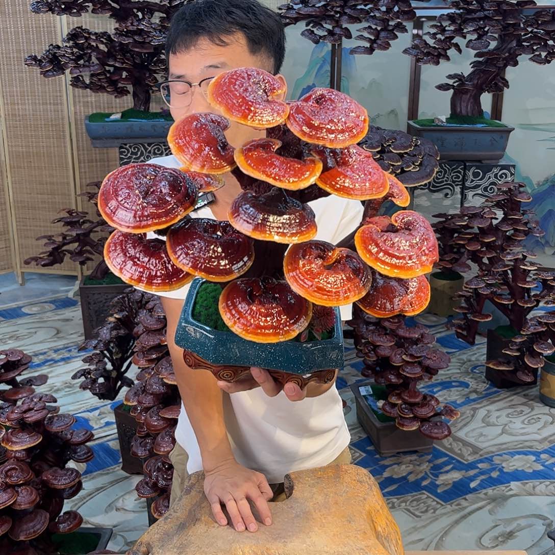 无花朵88888888888888888